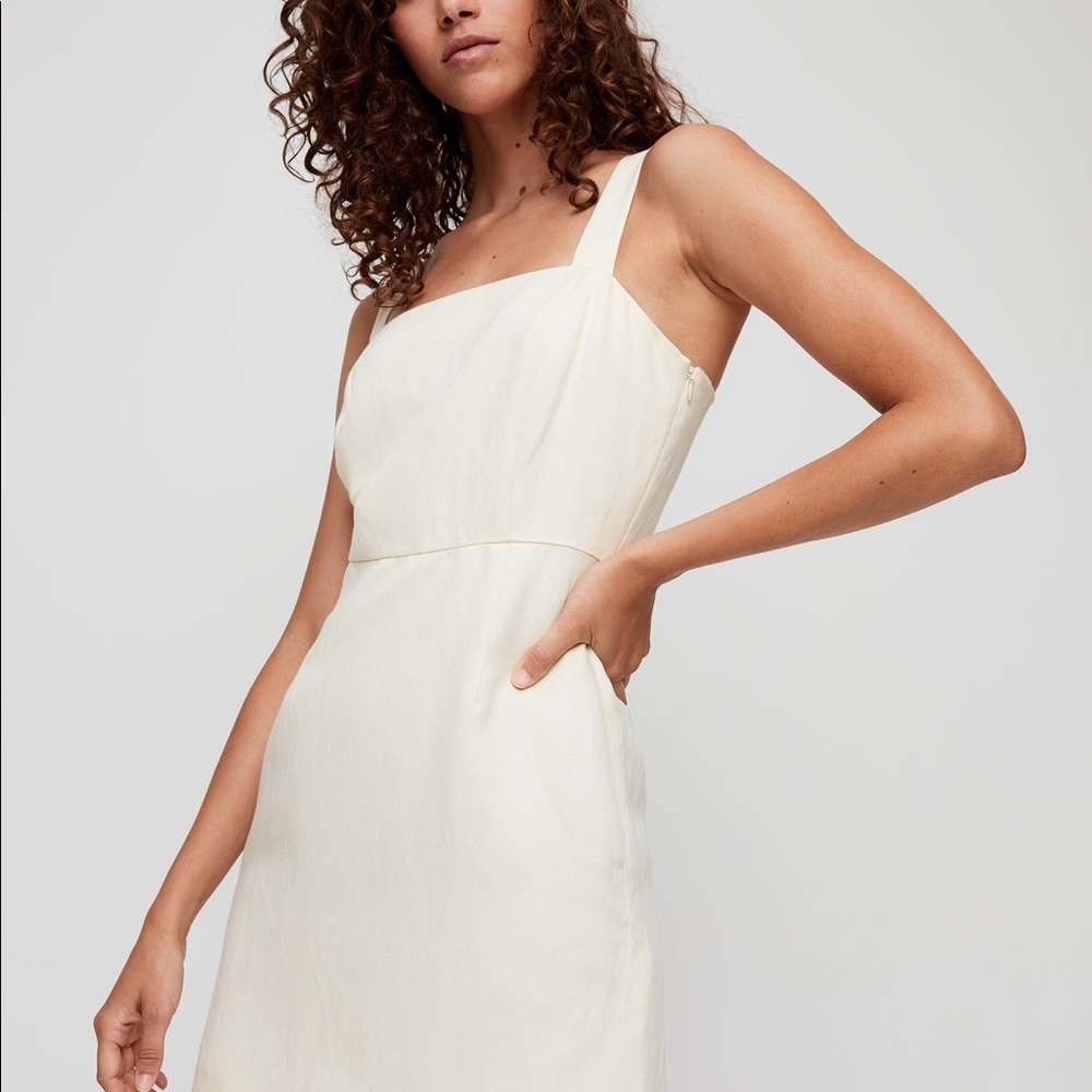 Aritzia Wilfred Rosemond Dress